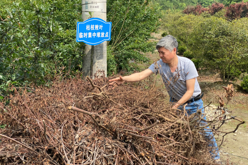 精密电子天平PTX-JA系列
